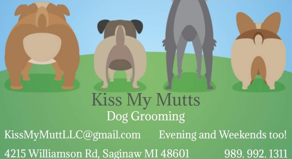 Happy groomed dog at Kiss My Mutts